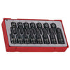 Teng 15pc 3/8in &1/2in Dr. mm Hex Skt Set - TC-Tray Teng 15pc 3/8in &1/2in Dr. mm Hex Skt Set - TC-Tray