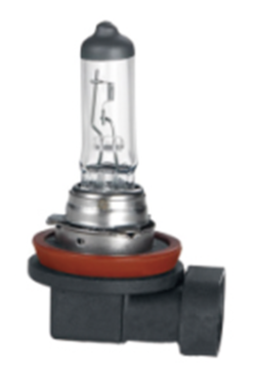 GMB H11 GLOBE PGJ19-2 12V 55W