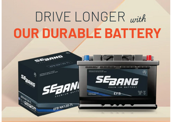 Exciting News: We Are Now an Official Sebang Distributor!