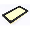 JS Air Filter A1542