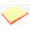 JS Air Filter A2919