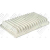JS Air Filter A3019