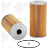 JS Fuel Filter FE0031