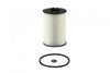 SCT SH4088L =OE3005 Audi Skoda Volkswagen Seat