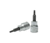 Teng 3/8in Dr. TX Bit Socket TX20